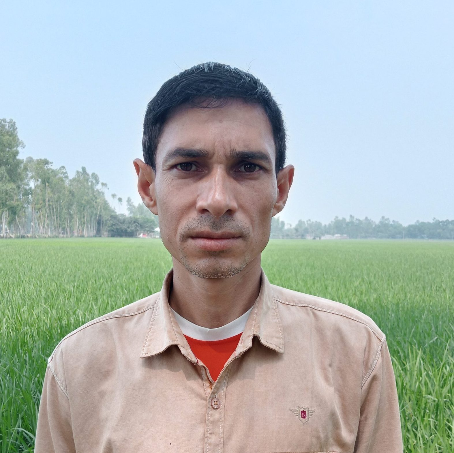 The Lion And The Mouse Full Story Story Brinjal