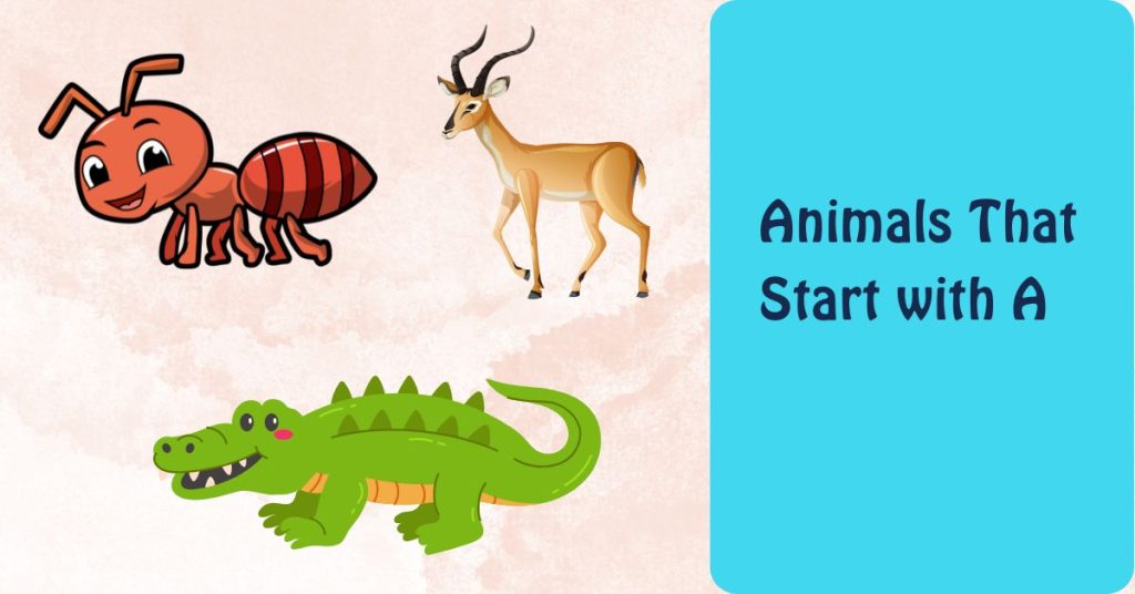 Animals That Start with A