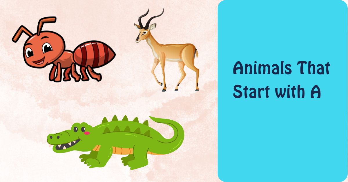 Animals That Start with A