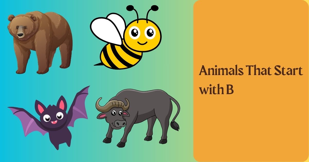 Animals That Start with B