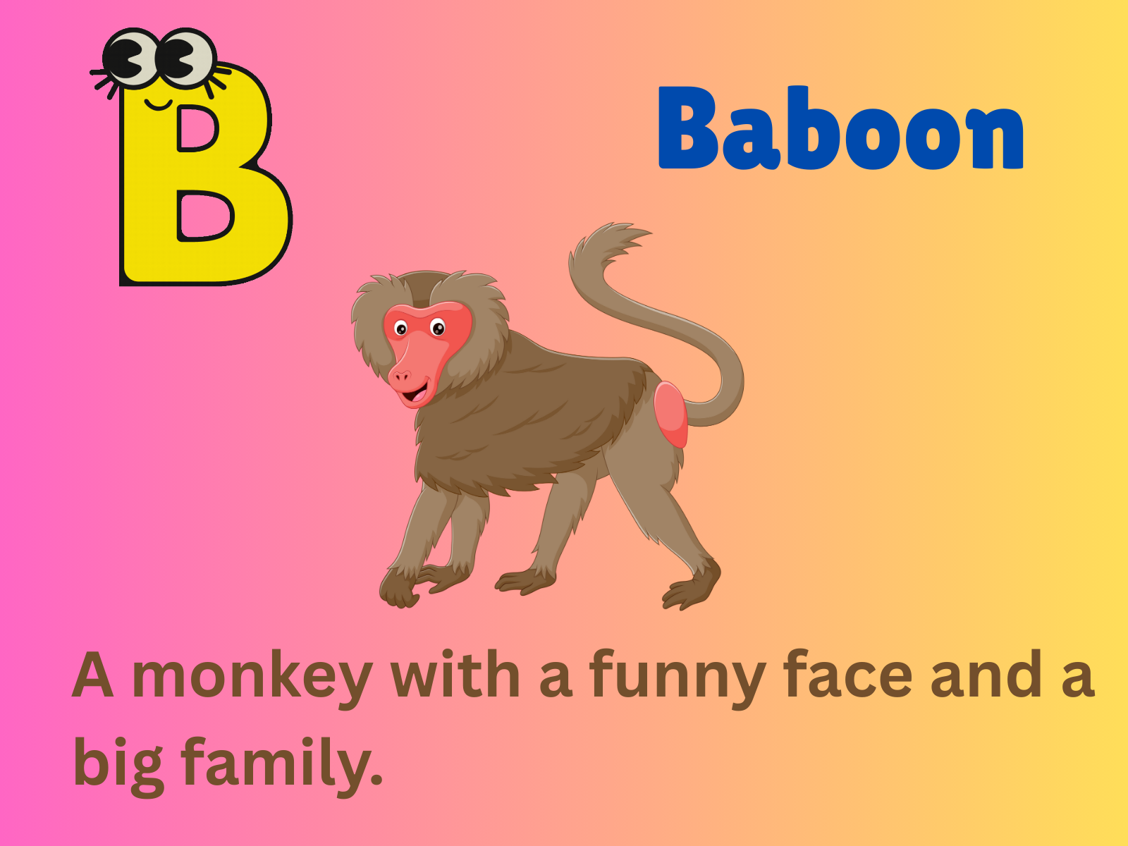 Baboon