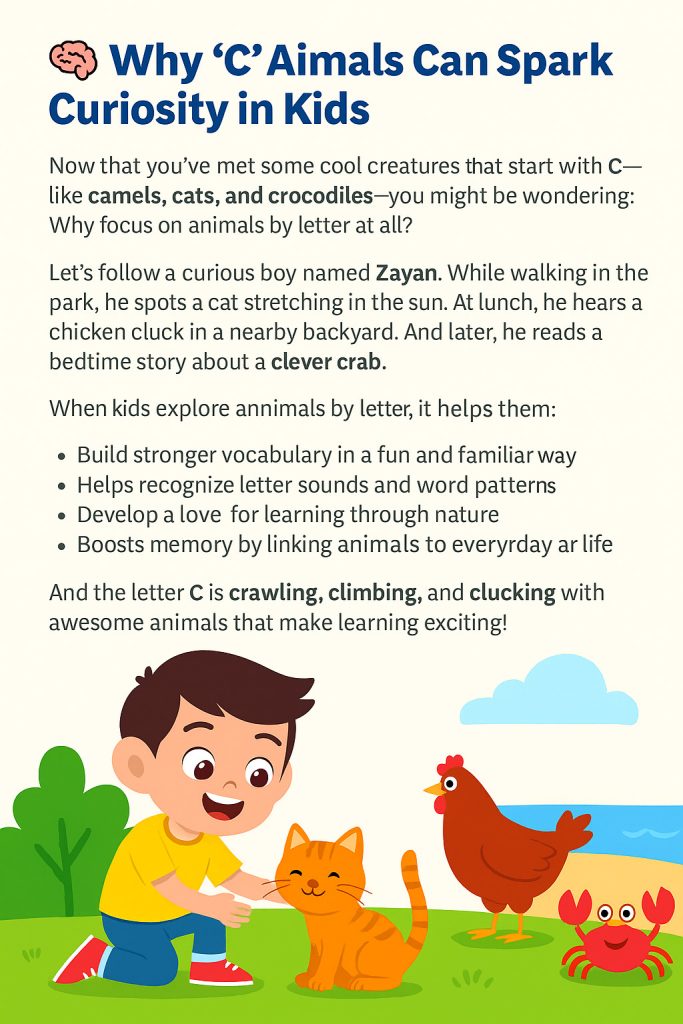 C animals infographic