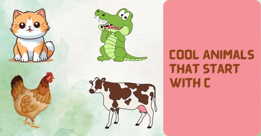 Cool Animals That Start with C