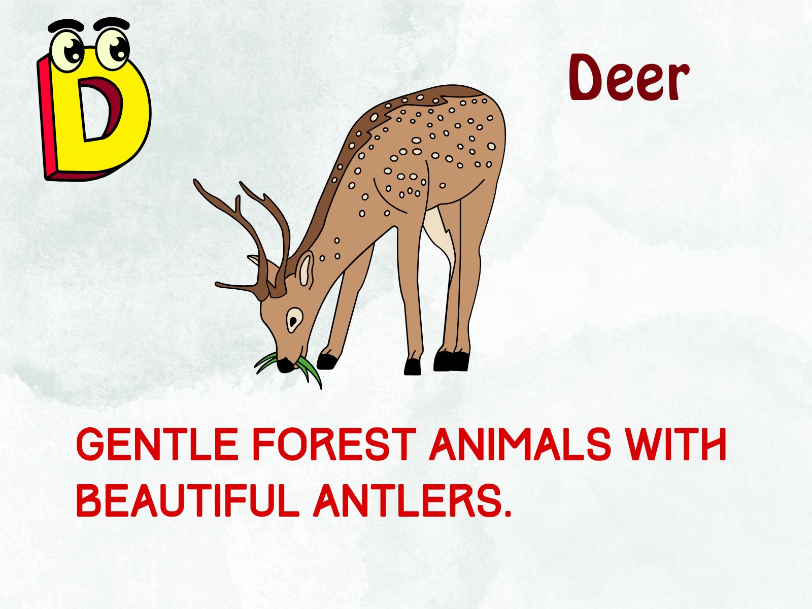 Deer