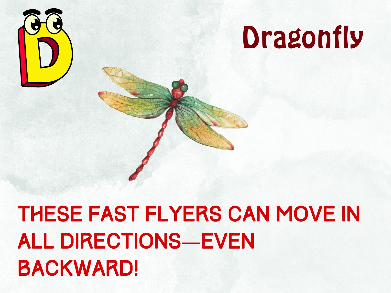 Dragonfly