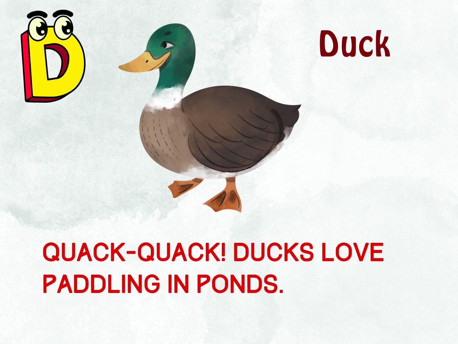 Duck