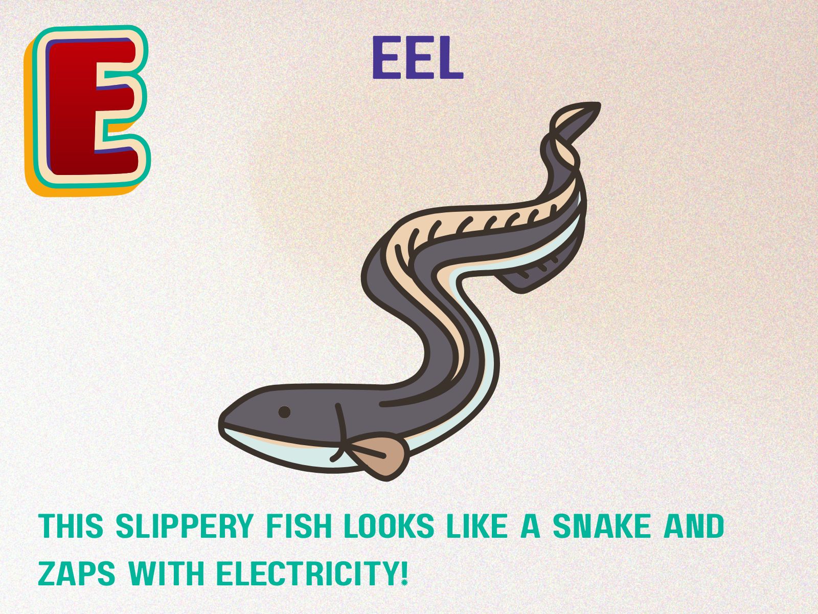 _Eel