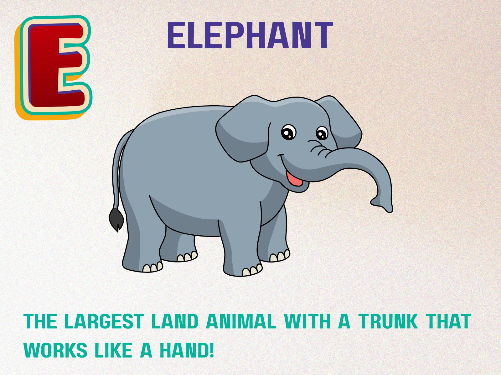 Elephant