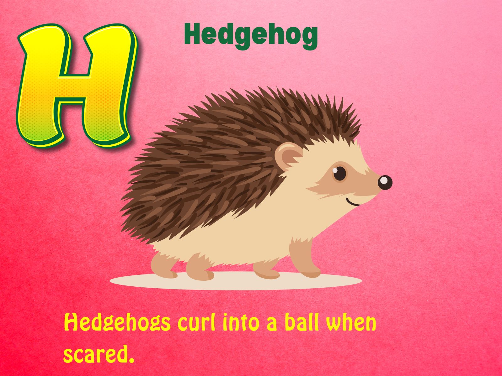 Hedgehog