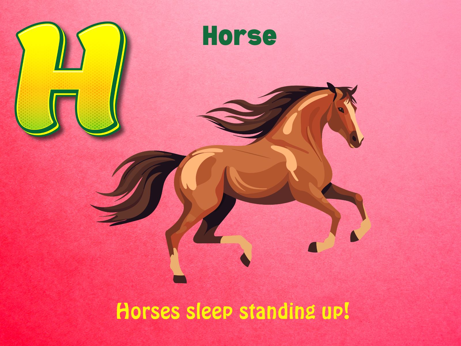 Horse