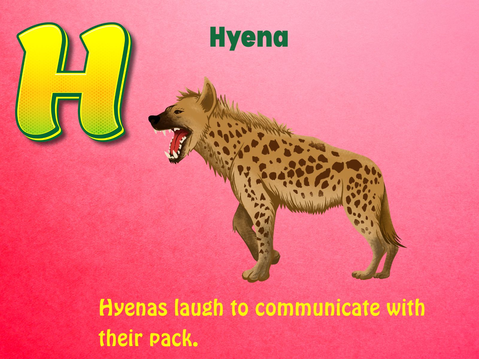 Hyena