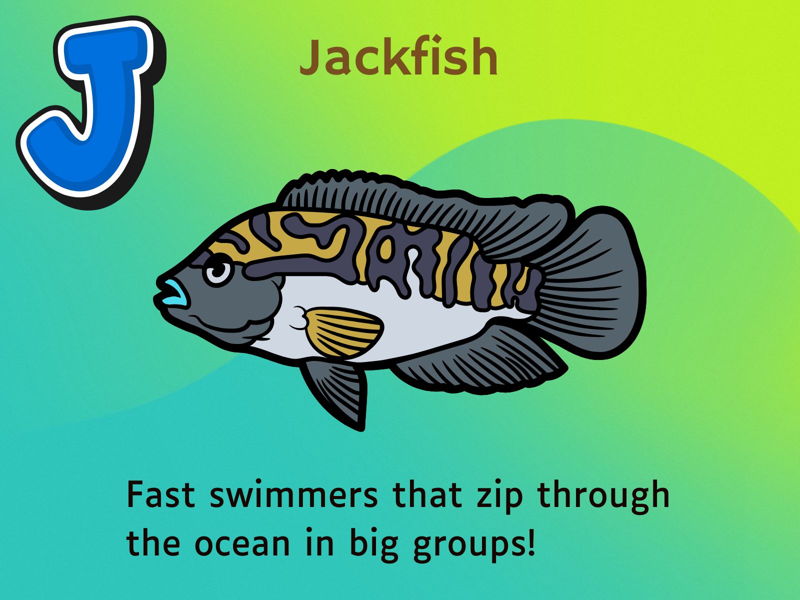Jackfish