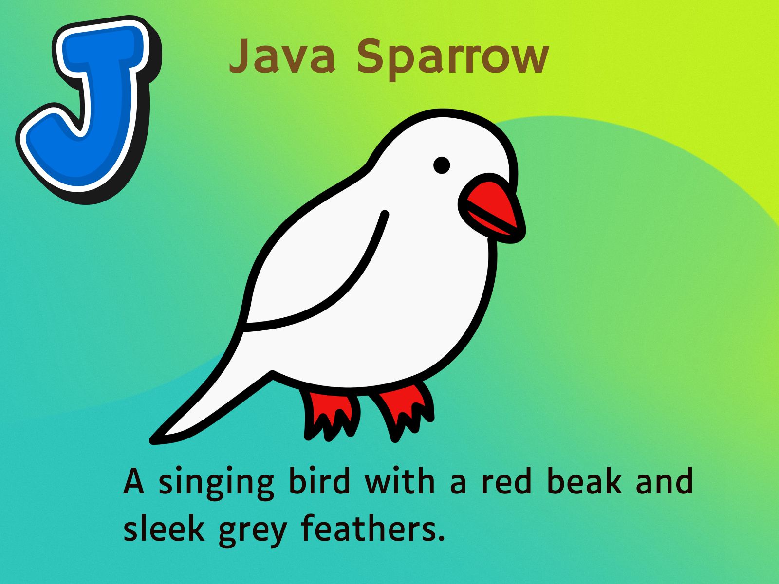 Java Sparrow